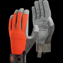 Kletterhandschuhe|Kletterhandschuhe^Black Diamond Crag Gloves - Past Season