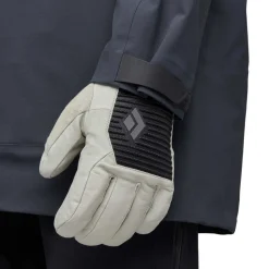 Freeriden^Black Diamond Session Knit Gloves